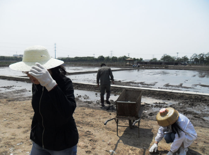 公司組織全體員工去新品種試驗基地泡田整地為插秧做準備