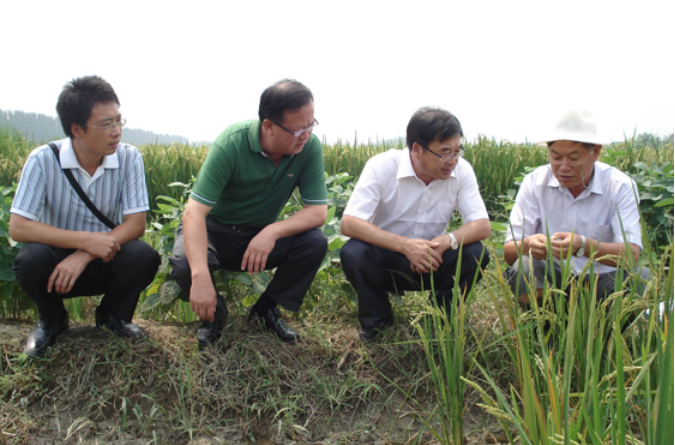 吉林農科院水稻所副所長周廣春到公司寧河基地參觀考察